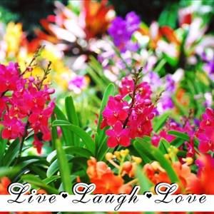 Meet your Posher, Cherrie